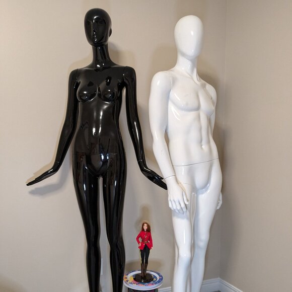 Meet your Posher, Sam - Picture 4 of 4